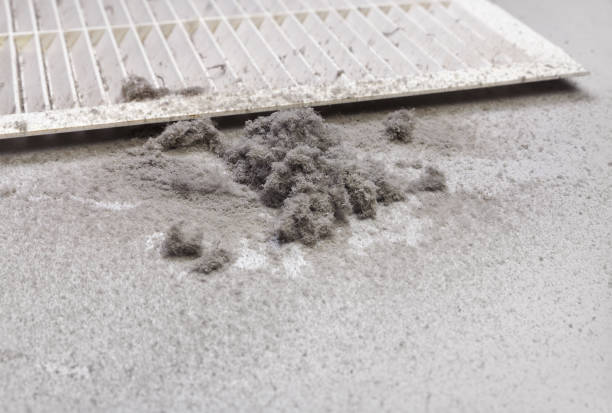 Best Professional Duct Cleaning Services  in West Peoria, IL