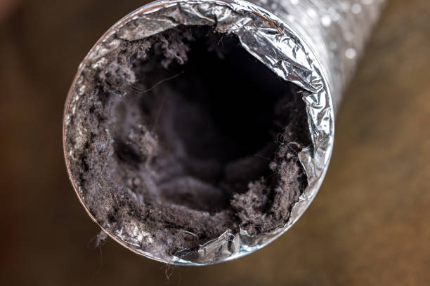 Best Ductwork Cleaning Services  in West Peoria, IL