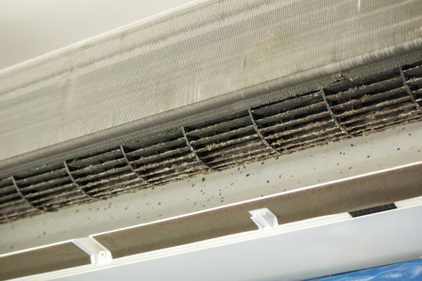 Best HVAC Air Duct Cleaning  in West Peoria, IL